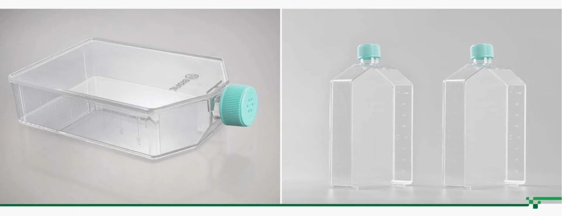 cell culture flask 11