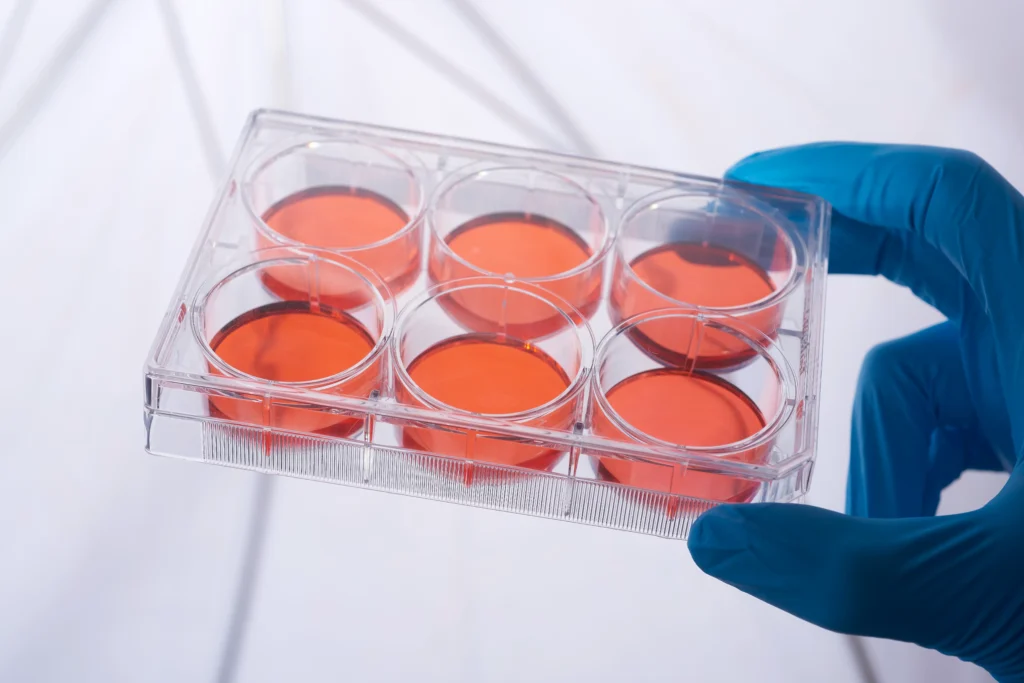 cell culture plate