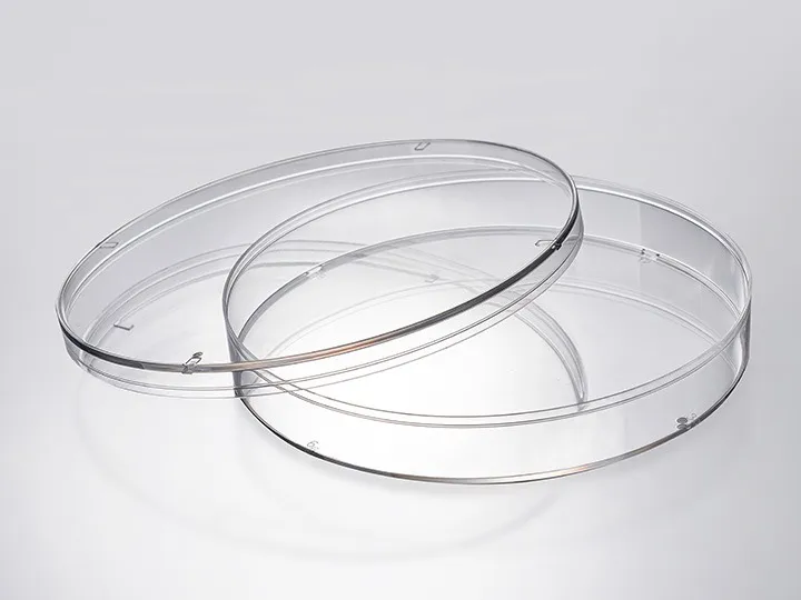 cell petri dishes 1