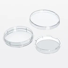 cell petri dishes 2