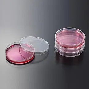 cell petri dishes 4