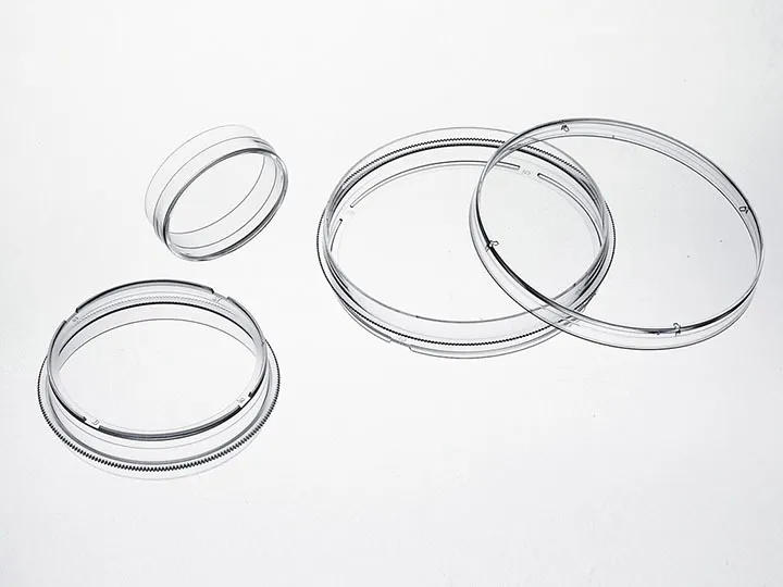 cell petri dishes 5