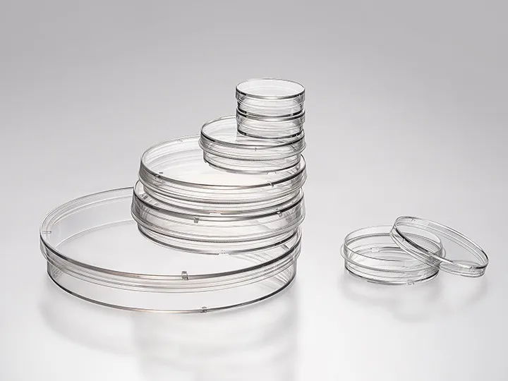 cell petri dishes 7