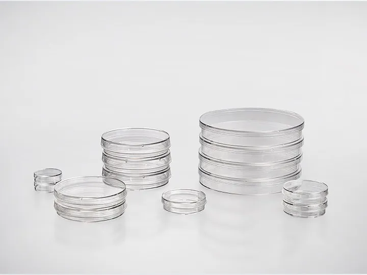 cell petri dishes 8