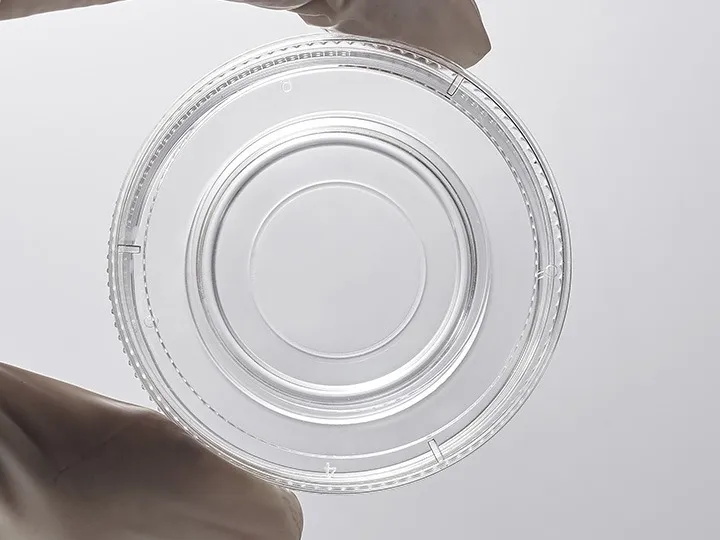 cell petri dishes 9