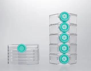 multi layer cell culture flasks 1