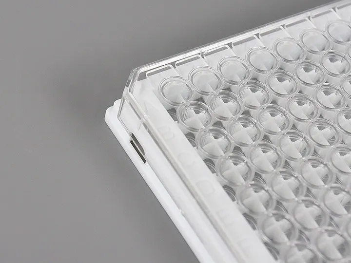 elisa plate 3