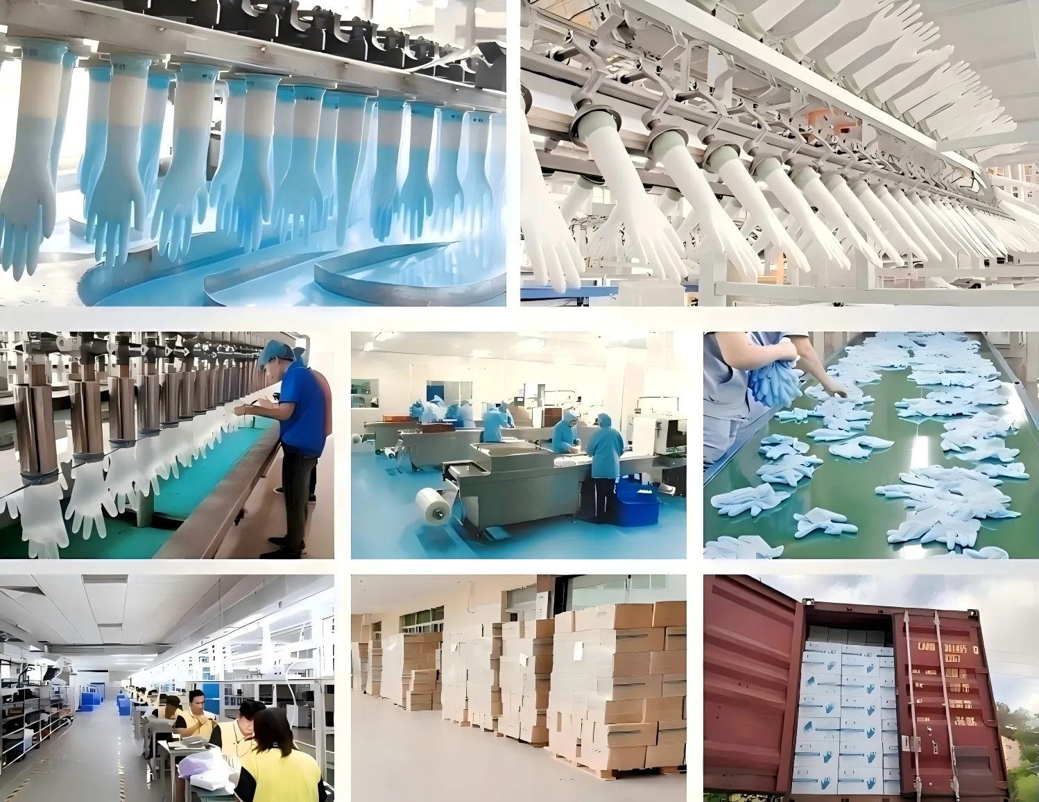 gloves production line